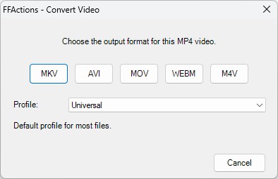 Convert video format picker